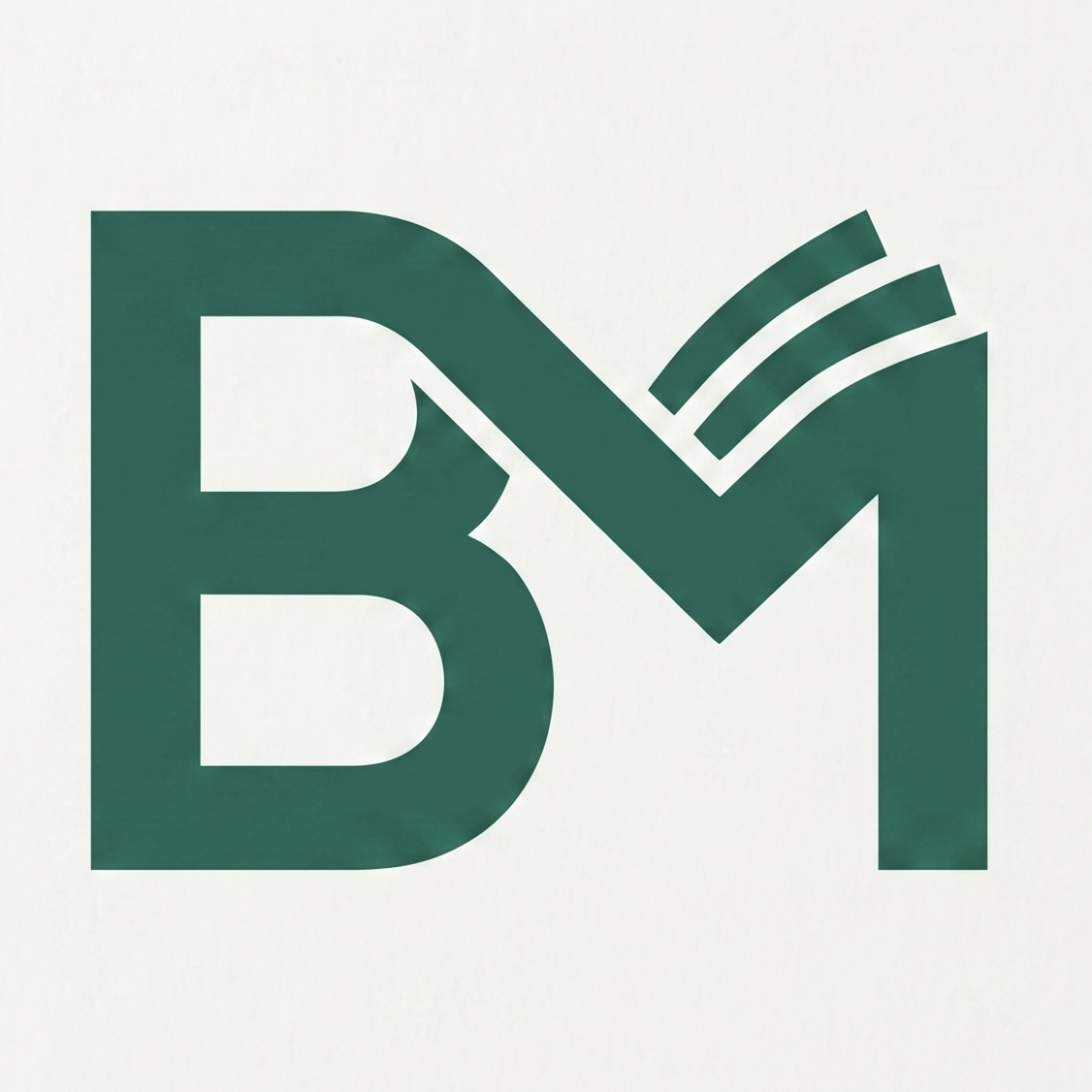 CONTABLE BM